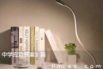 中学应急预案3篇 中学应急预案3篇