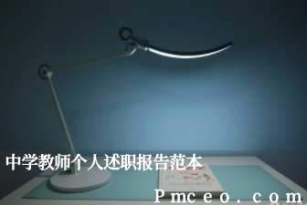 中学教师个人述职报告范本 中学教师个人述职报告范本