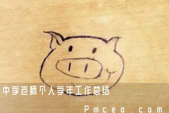 中学老师个人学年工作总结 中学老师个人学年工作总结