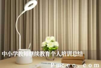 中小学教师继续教育个人培训总结 中小学教师继续教育个人培训总结