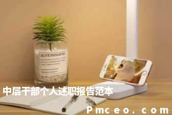 中层干部个人述职报告范本 中层干部个人述职报告范本