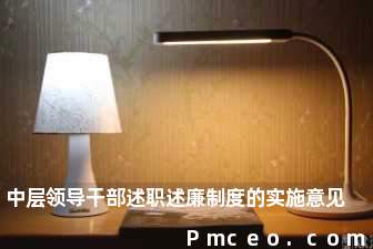 中层领导干部述职述廉制度的实施意见 中层领导干部述职述廉制度的实施意见