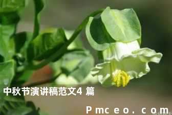 中秋节演讲稿范文4篇 中秋节演讲稿范文4篇