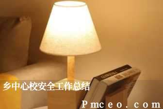 乡中心校安全工作总结 乡中心校安全工作总结
