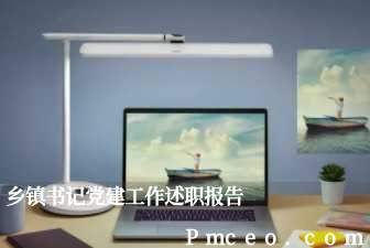 乡镇书记党建工作述职报告 乡镇书记党建工作述职报告