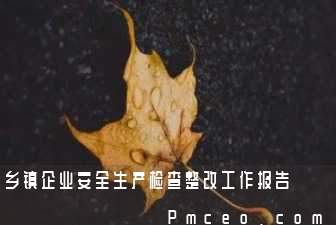 乡镇企业安全生产检查整改工作报告 乡镇企业安全生产检查整改工作报告