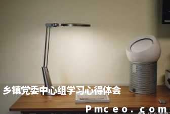 乡镇党委中心组学习心得体会 乡镇党委中心组学习心得体会