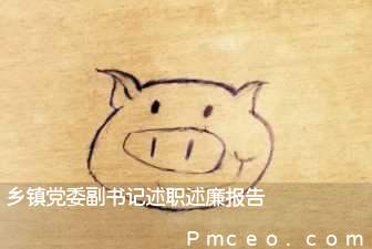 乡镇党委副书记述职述廉报告 乡镇党委副书记述职述廉报告
