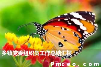 乡镇党委组织员工作总结汇报 乡镇党委组织员工作总结汇报