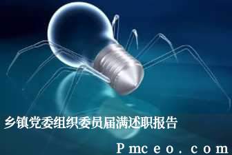 乡镇党委组织委员届满述职报告 乡镇党委组织委员届满述职报告