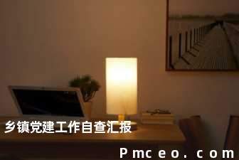 乡镇党建工作自查汇报 乡镇党建工作自查汇报