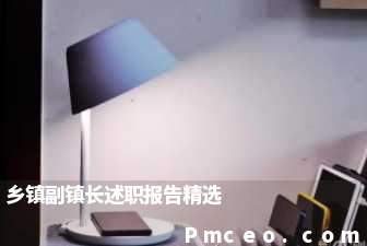 乡镇副镇长述职报告精选 乡镇副镇长述职报告精选