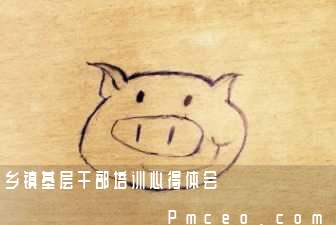 乡镇基层干部培训心得体会 乡镇基层干部培训心得体会