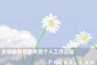 乡镇教育组勤务员个人工作总结 乡镇教育组勤务员个人工作总结