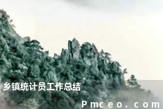 乡镇统计员工作总结 乡镇统计员工作总结