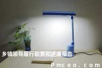 乡镇领导履行职责和述廉报告 乡镇领导履行职责和述廉报告