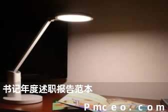 书记年度述职报告范本 书记年度述职报告范本