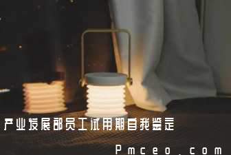 产业发展部员工试用期自我鉴定 产业发展部员工试用期自我鉴定