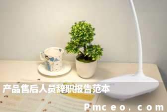 产品售后人员辞职报告范本 产品售后人员辞职报告范本