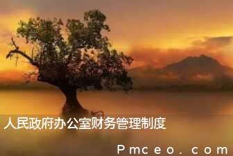 人民政府办公室财务管理制度 人民政府办公室财务管理制度