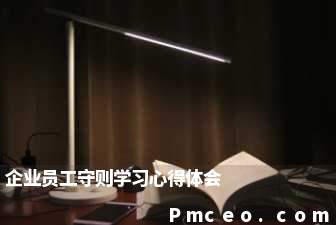 企业员工守则学习心得体会 企业员工守则学习心得体会