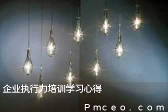 企业执行力培训学习心得 企业执行力培训学习心得