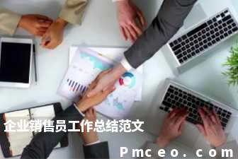 企业销售员工作总结范文 企业销售员工作总结范文