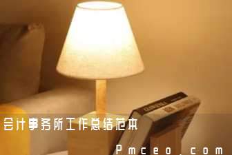 会计事务所工作总结范本 会计事务所工作总结范本