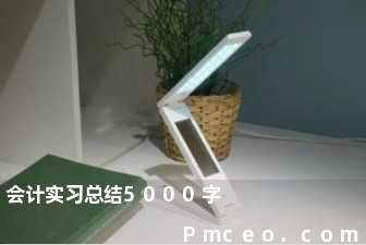 会计实习总结5000字 会计实习总结5000字