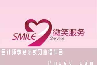 会计师事务所实习心得体会 会计师事务所实习心得体会