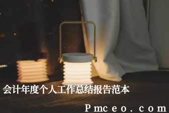 会计年度个人工作总结报告范本 会计年度个人工作总结报告范本