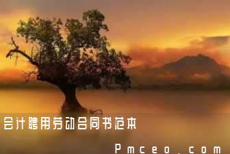 会计聘用劳动合同书范本 会计聘用劳动合同书范本