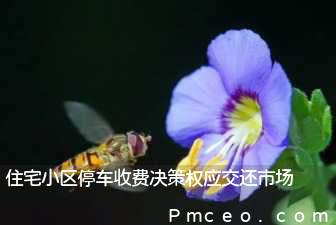 住宅小区停车收费决策权应交还市场 住宅小区停车收费决策权应交还市场