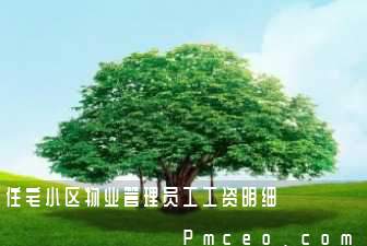 住宅小区物业管理员工工资明细 住宅小区物业管理员工工资明细