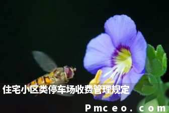 住宅小区类停车场收费管理规定 住宅小区类停车场收费管理规定