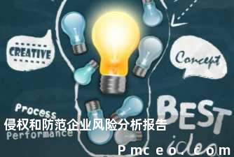 侵权和防范企业风险分析报告 侵权和防范企业风险分析报告