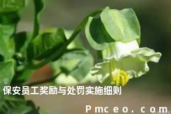 保安员工奖励与处罚实施细则 保安员工奖励与处罚实施细则