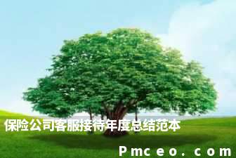 保险公司客服接待年度总结范本 保险公司客服接待年度总结范本