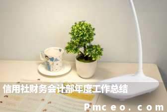 信用社财务会计部年度工作总结 信用社财务会计部年度工作总结