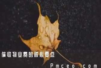催收物业费的核心要点 催收物业费的核心要点