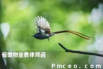 催缴物业费律师函 催缴物业费律师函