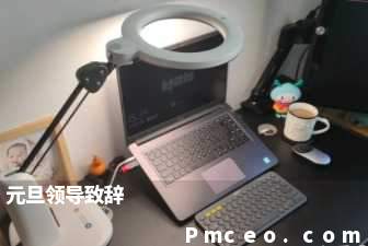 元旦领导致辞 元旦领导致辞