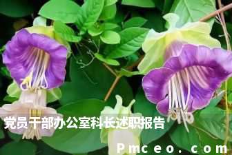 党员干部办公室科长述职报告 党员干部办公室科长述职报告