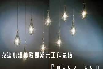党建小组外联部期末工作总结 党建小组外联部期末工作总结