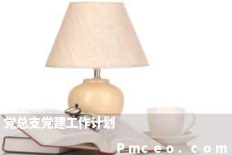 党总支党建工作计划 党总支党建工作计划