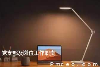 党支部及岗位工作职责 党支部及岗位工作职责