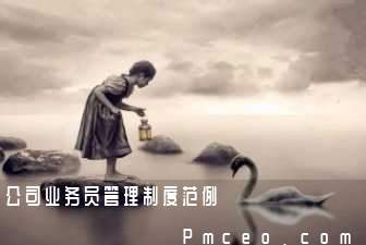 公司业务员管理制度范例 公司业务员管理制度范例