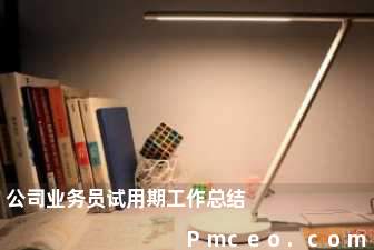 公司业务员试用期工作总结 公司业务员试用期工作总结