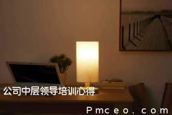 公司中层领导培训心得 公司中层领导培训心得