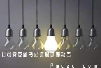 公司党支副书记述职述廉报告 公司党支副书记述职述廉报告